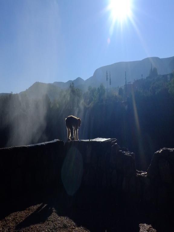 Riad Cascades D'Ouzoud Eksteriør bilde