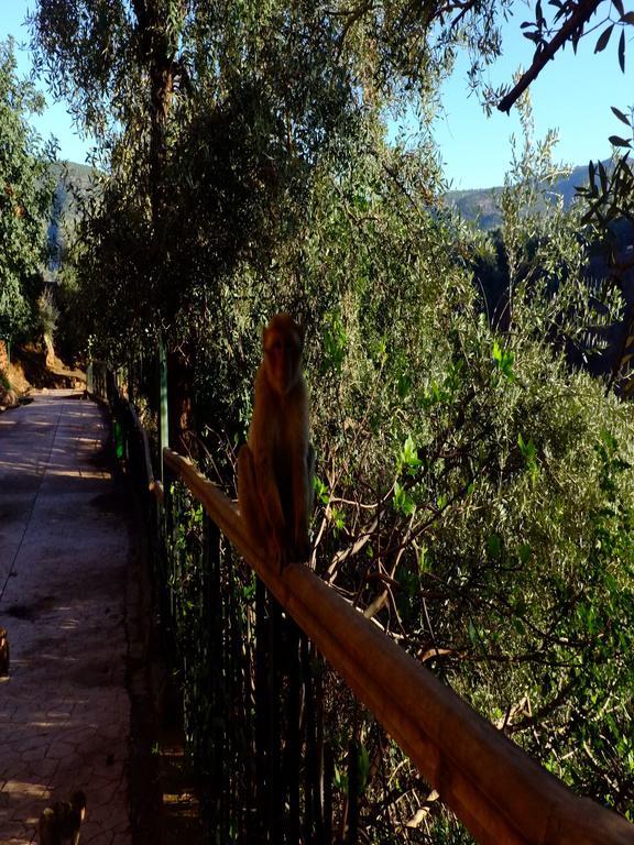 Riad Cascades D'Ouzoud Eksteriør bilde