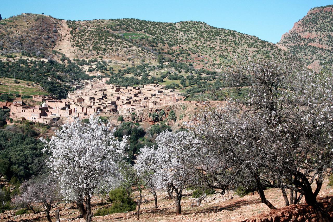 Riad Cascades D'Ouzoud Eksteriør bilde